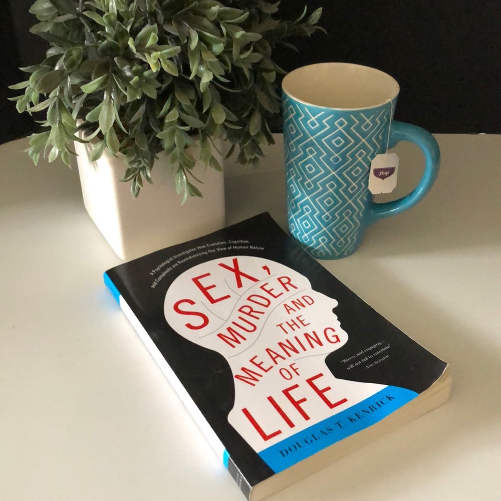 Sex, Murder and the Meaning of Life paperback book